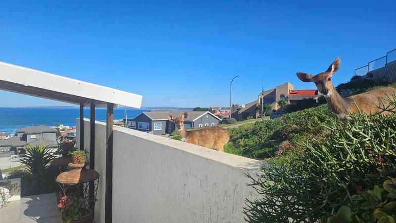 4 Bedroom Property for Sale in Dana Bay Western Cape